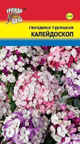 Купить оптом в Ботанике семена Гвоздика турецкая Калейдоскоп УУ бренд Урожай Удачи