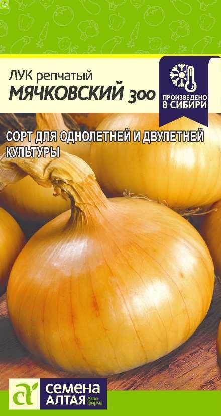 Купить оптом в Ботанике семена Лук репчатый Мячковский 300 СА бренд Семена Алтая