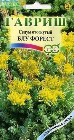Купить оптом в Ботанике семена Седум Блу Форрест Гав бренд Гавриш