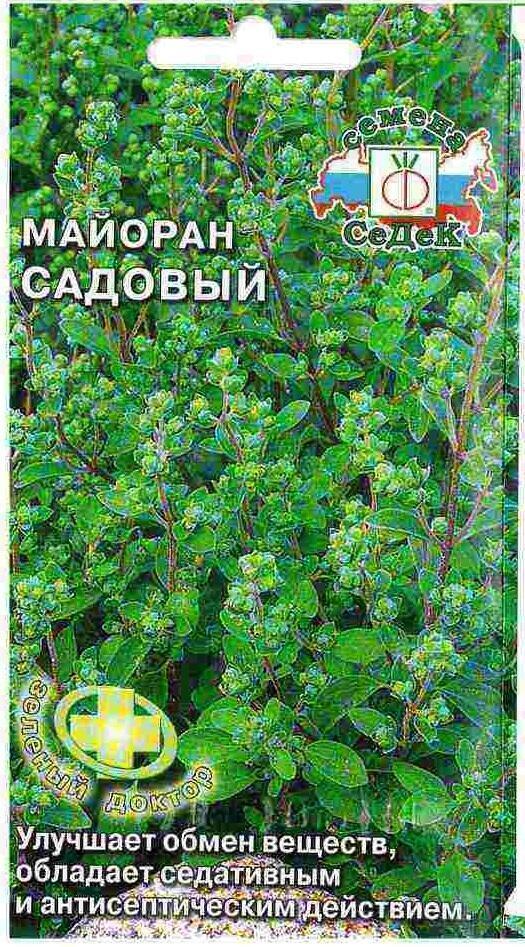 Купить оптом в Ботанике семена Майоран Садовый Сед бренд СеДеК