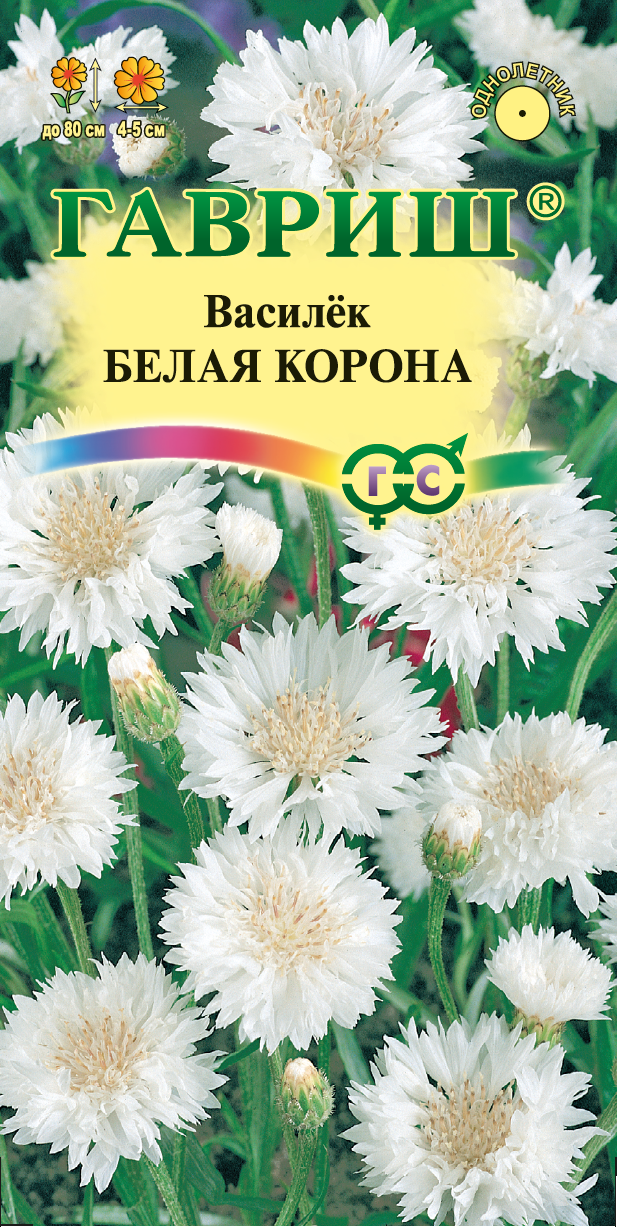 Купить оптом в Ботанике семена Василек Белая корона Гав бренд Гавриш