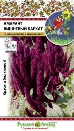 Купить оптом в Ботанике семена Амарант Вишневый бархат НК бренд НК