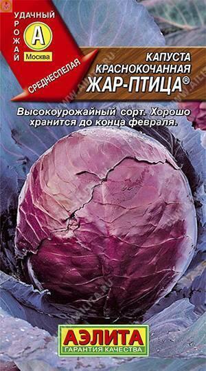 Купить оптом в Ботанике семена Капуста краснокочанная Жар птица Аэл бренд Аэлита
