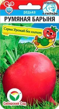Купить оптом в Ботанике семена Редька Румяная барыня СС бренд Сиб.сад