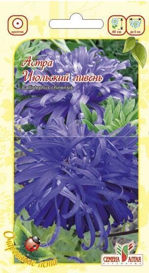 Купить оптом в Ботанике семена Астра Июльский ливень СА бренд Семена Алтая