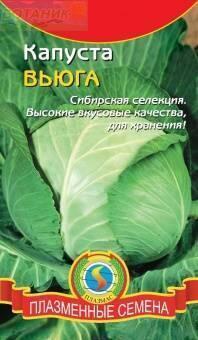 Купить оптом в Ботанике семена Капуста белокочанная Вьюга Плз бренд Плазмас
