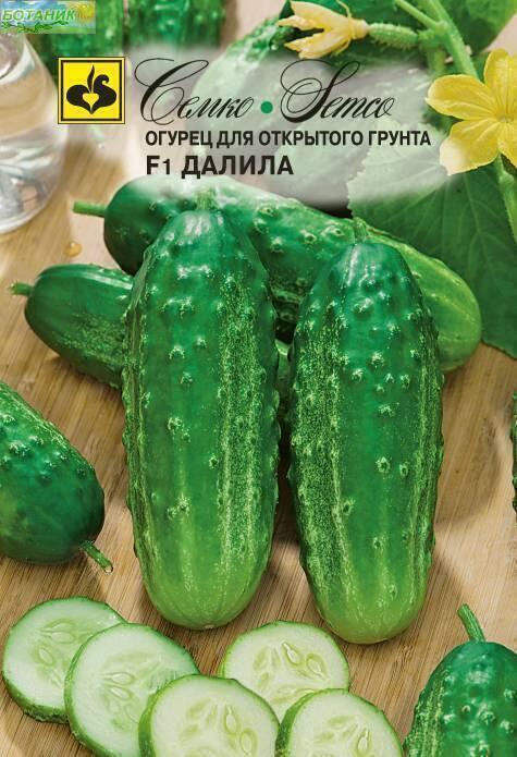Купить оптом в Ботанике семена Огурец Далила F1 Сем бренд Семко