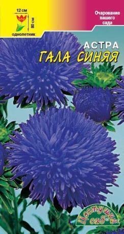 Купить оптом в Ботанике семена Астра Гала синяя густомахровая ЦС бренд Цветущий Сад