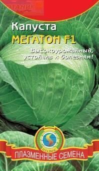 Купить оптом в Ботанике семена Капуста белокочанная Мегатон F1 Плз бренд Плазмас