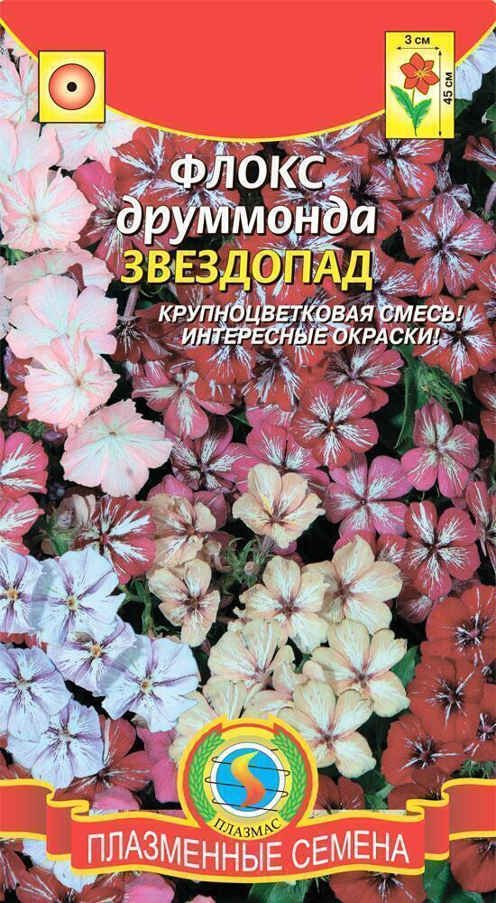 Купить оптом в Ботанике семена Флокс Звездопад Плз бренд Плазмас