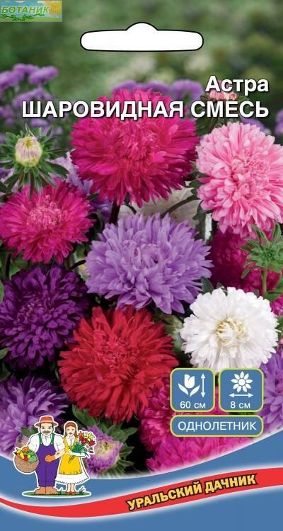 Купить оптом в Ботанике семена Астра Шаровидная смесь УД бренд Уральский дачник