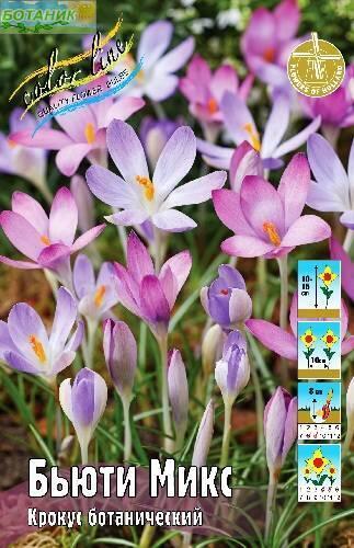 Купить оптом в Ботанике Крокус Бьюти Микс 10 шт