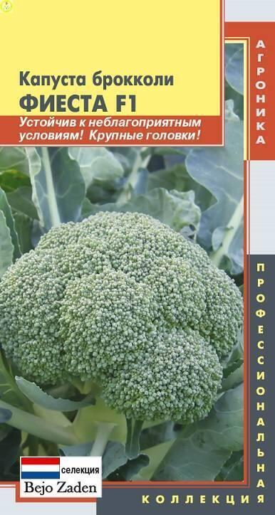 Купить оптом в Ботанике семена Капуста брокколи Фиеста Плз бренд Плазмас