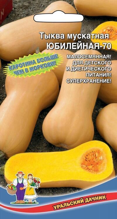 Купить оптом в Ботанике семена Тыква Юбилейная-70 мускатная УД бренд Уральский дачник