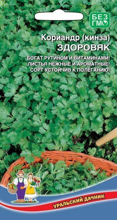 Купить оптом в Ботанике семена Кориандр Здоровяк УД бренд Уральский дачник