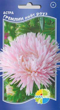 Купить оптом в Ботанике семена Астра Гремлин лайт роуз Акв бренд Акварель
