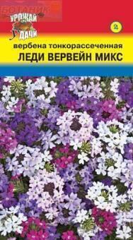 Купить оптом в Ботанике семена Вербена Леди Вервейн микс УУ бренд Урожай Удачи