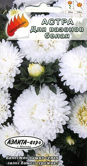 Купить оптом в Ботанике семена Астра Для вазонов белая Аэл бренд Аэлита