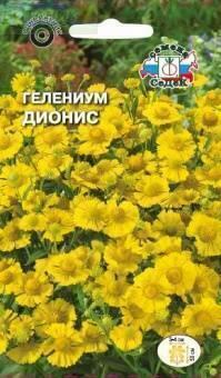 Купить оптом в Ботанике семена Гелениум Дионис амарум Сед бренд СеДеК