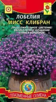 Купить оптом в Ботанике семена Лобелия Мисс Клебран Плз бренд Плазмас