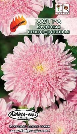Купить оптом в Ботанике семена Астра Сидония нежно-розовая Аэл бренд Аэлита