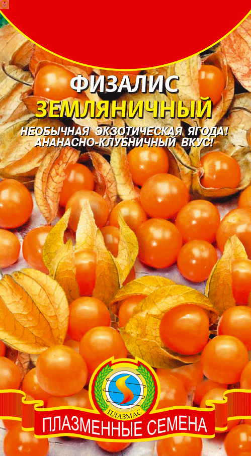 Купить оптом в Ботанике семена Физалис Земляничный Плз бренд Плазмас