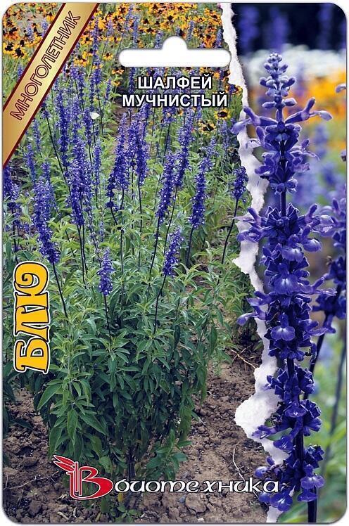 Купить оптом в Ботанике семена Шалфей мучнистый Блю Био бренд Биотехника