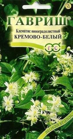 Купить оптом в Ботанике семена Клематис Виноградолистный Гав бренд Гавриш
