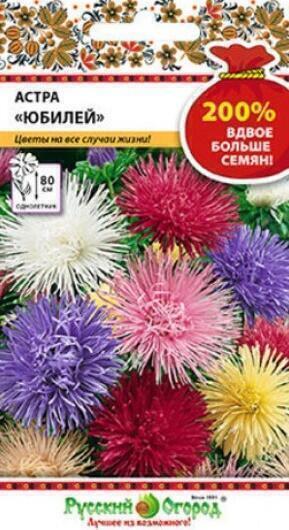 Купить оптом в Ботанике семена Астра Юбилей смесь НК бренд НК