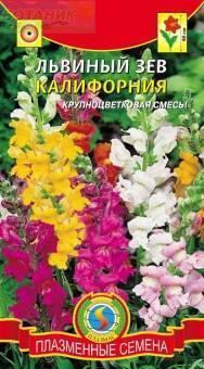 Купить оптом в Ботанике семена Львиный зев Калифорния Плз бренд Плазмас