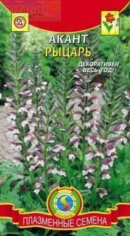 Купить оптом в Ботанике семена Акант Рыцарь Плз бренд Плазмас