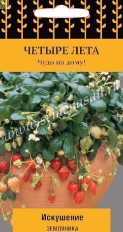 Купить оптом в Ботанике семена Земляника Искушение Поиск бренд Поиск