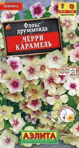 Купить оптом в Ботанике семена Флокс Черри карамель друммонда Аэл бренд Аэлита