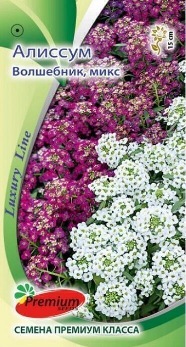 Купить оптом в Ботанике семена Алиссум Волшебник ПС бренд Премиум Сидс