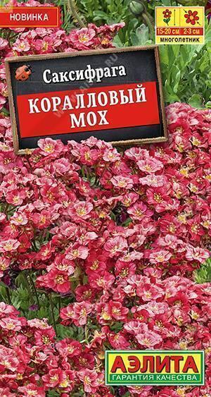 Купить оптом в Ботанике семена Саксифрага Коралловый мох Аэл бренд Аэлита