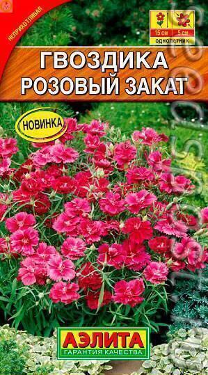 Купить оптом в Ботанике семена Гвоздика Розовый закат Аэл бренд Аэлита