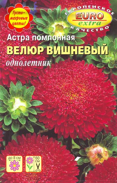 Купить оптом в Ботанике семена Астра Велюр вишневый помпонная Аэл бренд Аэлита