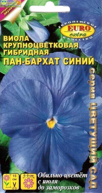 Купить оптом в Ботанике семена Виола Пан-Бархат Синий Аэл бренд Аэлита