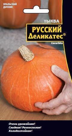 Купить оптом в Ботанике семена Тыква Русский Деликатес УД бренд Уральский дачник