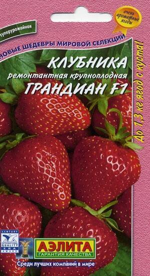 Купить оптом в Ботанике семена Клубника Грандиан F1 Аэл бренд Аэлита