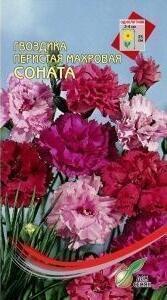 Купить оптом в Ботанике семена Гвоздика перистая Соната ССО бренд Сортсемовощ