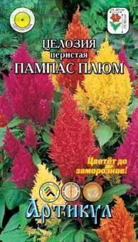 Купить оптом в Ботанике семена Целозия Пампас Плюм перистая Арт бренд Артикул