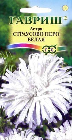 Купить оптом в Ботанике семена Астра Страусово перо белая Гав бренд Гавриш