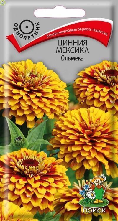 Купить оптом в Ботанике семена Цинния Мексика Ольмека Поиск бренд Поиск