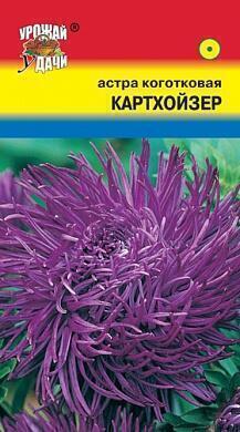 Купить оптом в Ботанике семена Астра Картхойзер коготковая УУ бренд Урожай Удачи