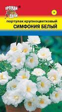 Купить оптом в Ботанике семена Портулак Симфония белый УУ бренд Урожай Удачи