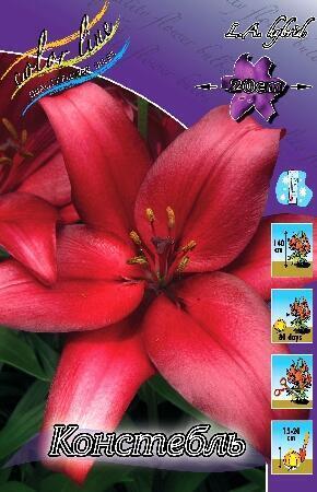 Купить оптом в Ботанике Лилия Констебль 7 шт