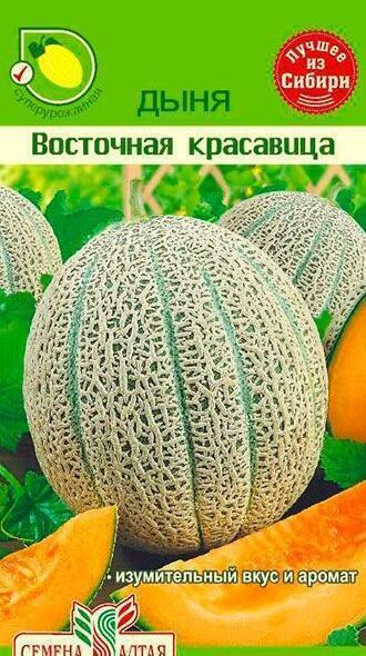 Купить оптом в Ботанике семена Дыня Восточная красавица СА бренд Семена Алтая