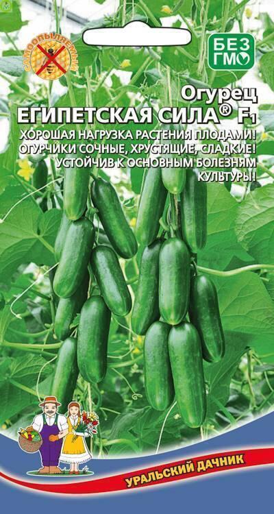 Купить оптом в Ботанике семена Огурец Египетская сила F1 УД бренд Уральский дачник