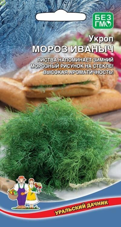 Купить оптом в Ботанике семена Укроп Мороз Иваныч УД бренд Уральский дачник